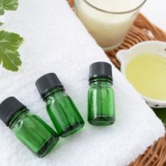 ティーツリーオイルって何？薄毛に効果的ってほんと？