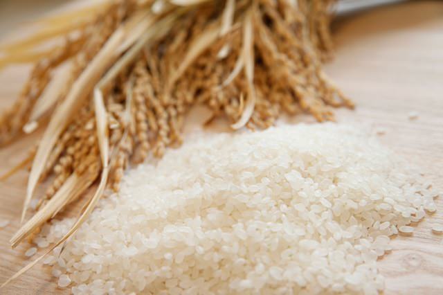 お米のとぎ汁がヘアケアに使えるって本当？