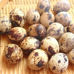 飲み物が美髪をつくる？！髪に良い飲み物vs髪に悪い飲み物