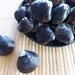 コラーゲンは髪にも効く！