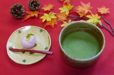 海外で人気沸騰中！抹茶のヘアケア効果とは