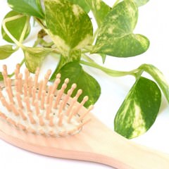 ヘアブラシの種類や正しい使い方