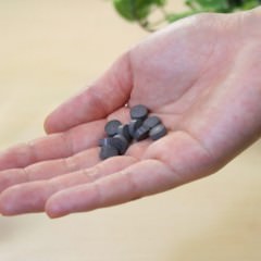 自然な仕上がり！昆布エキス配合の白髪染めを使ってみよう！