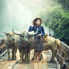 サプリだけで美髪にはなれない！その理由や美髪になる為の方法とは