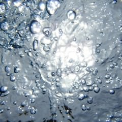 薄毛・抜け毛にイワシのすすめ