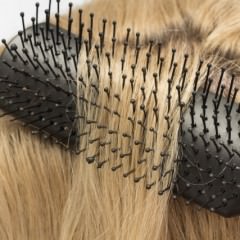 ブラッシングでサラサラに♪マペペの「つやつや天然毛のミックスブラシ」使ってみました！