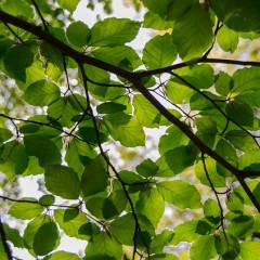 夏に冷やしシャンプーは実は髪に悪影響？