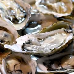卵の食べ過ぎは男性ホルモンの増加につながるの？