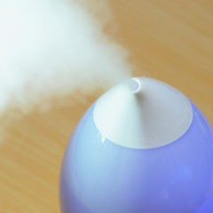 緑茶の殺菌効果とは