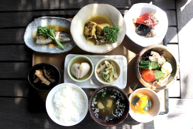 糖質制限のロカボ食で太く美しい髪に