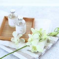 こっそり教えてあげたいシャンプーの本当のこと