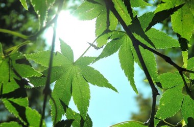 部屋の中でも危険？室内の紫外線対策とは