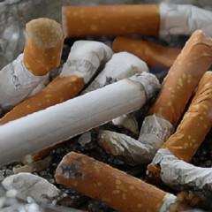 ヨガのポーズは薄毛対策に効果的なの？