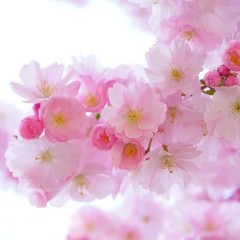 髪の変化は頭皮の老化が原因？頭皮の老化が及ぼす影響とは