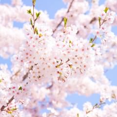 つむじの日焼けを防ぐ方法と日焼けたときのケア方法とは