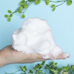 実は髪も体も同じ石鹸で洗える 知らなきゃ損 正しいヘアケア講座 実は髪も体も同じ石鹸で洗える 知らなきゃ損 正しいヘアケア講座