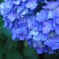 梅雨から夏にかけてのくせ毛や直毛のヘアケア方法の違いとは