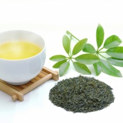 海藻は薄毛に効果があるの？