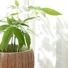 美髪に悪影響な生活習慣とは？オススメの改善方法も解説します！