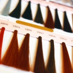 イエベとブルべ　それぞれの魅力を一番引き出すヘアカラーとは？