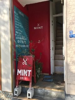 MINT hair salon1