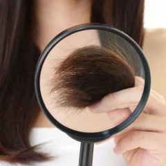 ショートカットとロングヘアで枝毛の出来にくさが違う原因とは？