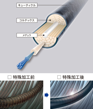 【最新版】スヴェンソンの増毛の評判や口コミは？気になる価格や特徴などを徹底解説3