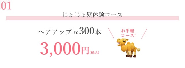 レディスアデランスの値段や料金体系は？ウィッグの価格や毎月の費用を徹底調査しました！32