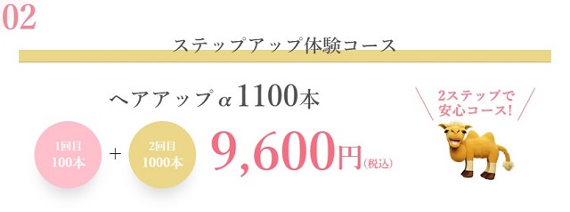 レディスアデランスの値段や料金体系は？ウィッグの価格や毎月の費用を徹底調査しました！33