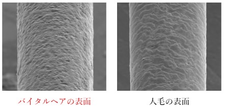 増毛サロンのオススメはどこ？選び方や大手増毛サロンの料金相場を徹底解説！7