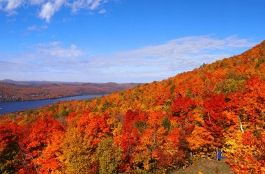 美髪効果ばつぐんのメープルウォーターの栄養成分とは？