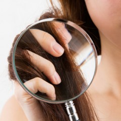 毛髪からDNA鑑定できるのはなぜ？