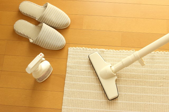 部屋の「ほこり」は髪や頭皮に悪影響！髪のほこりを簡単に取り除く方法とは？