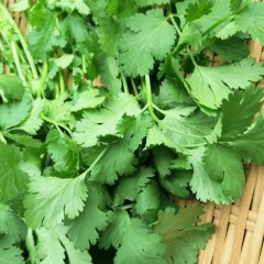 偏った食生活による白髪の原因