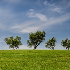 カイロで頭皮の血行を促進できる？