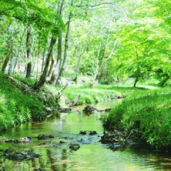 髪と肌荒れの関係とは