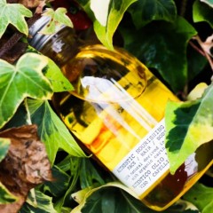 植物性ヘアオイルの中で、自分に合う植物は何？