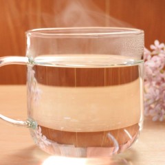 体や髪に良いプレミール習慣って何？効果や正しいやり方をご紹介！