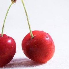 ミレットエキスが髪に与える影響とは？