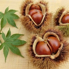 抗酸化成分がバツグンの「べジブロス」の効果とは？髪にはどんな効果がある？
