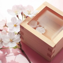 サンショウエキスの育毛効果とは？