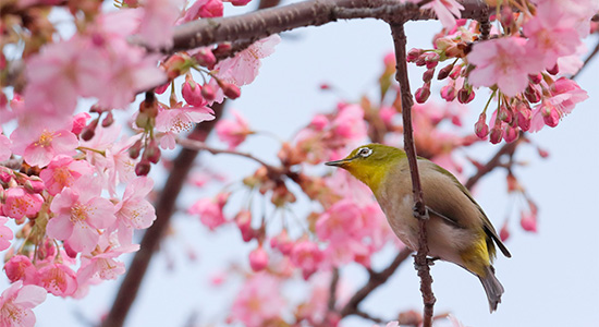 新学期には好印象を与えたいものですよね。