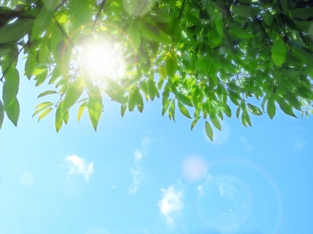 紫外線が髪を傷つける！夏のヘアダメージ攻略法