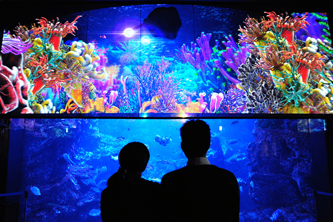 水族館デートに似合うヘアスタイルtop