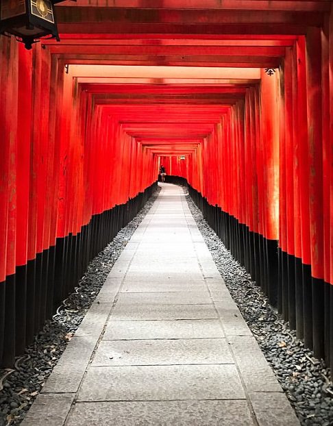 京都観光におすすめの和アレンジ♪定番からアクセントがきいたスタイルも☆