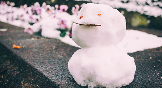 雪が髪に与える影響とは