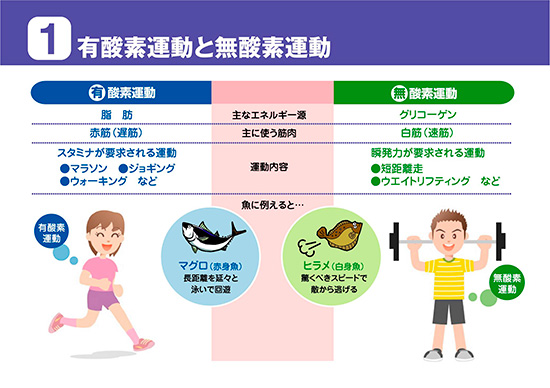 有酸素運動と無酸素運動の違い