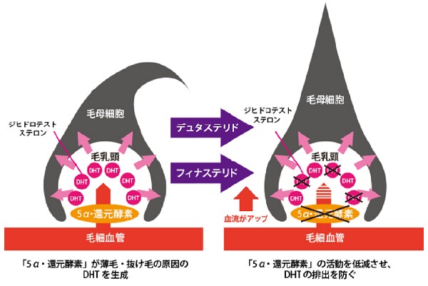 駅前AGAクリニック 広島院≪無料カウンセリングはこちら≫ のギャラリー画像2