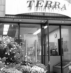 TERRA（テラ）のギャラリー画像04