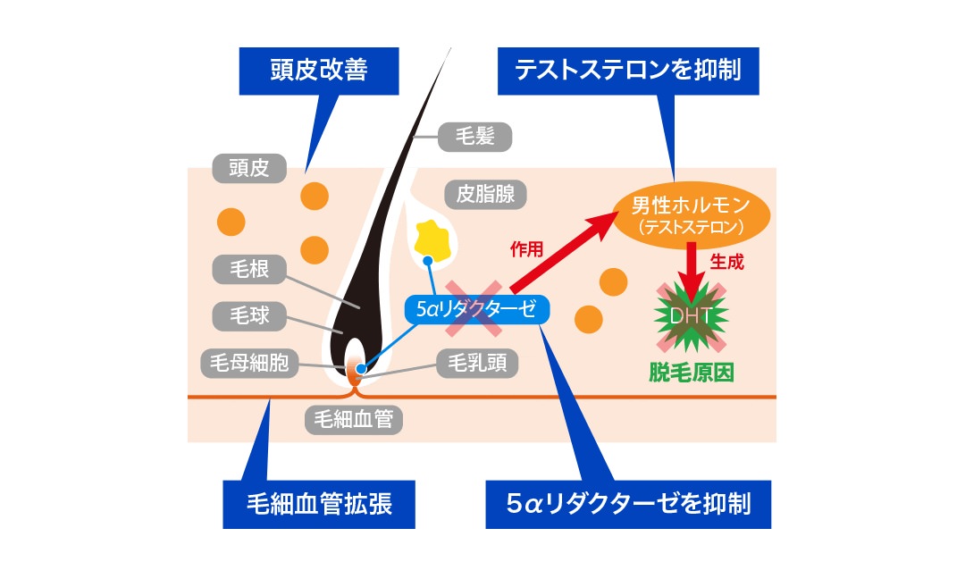 BIDAN（ビダン） 梅田店の店舗画像4